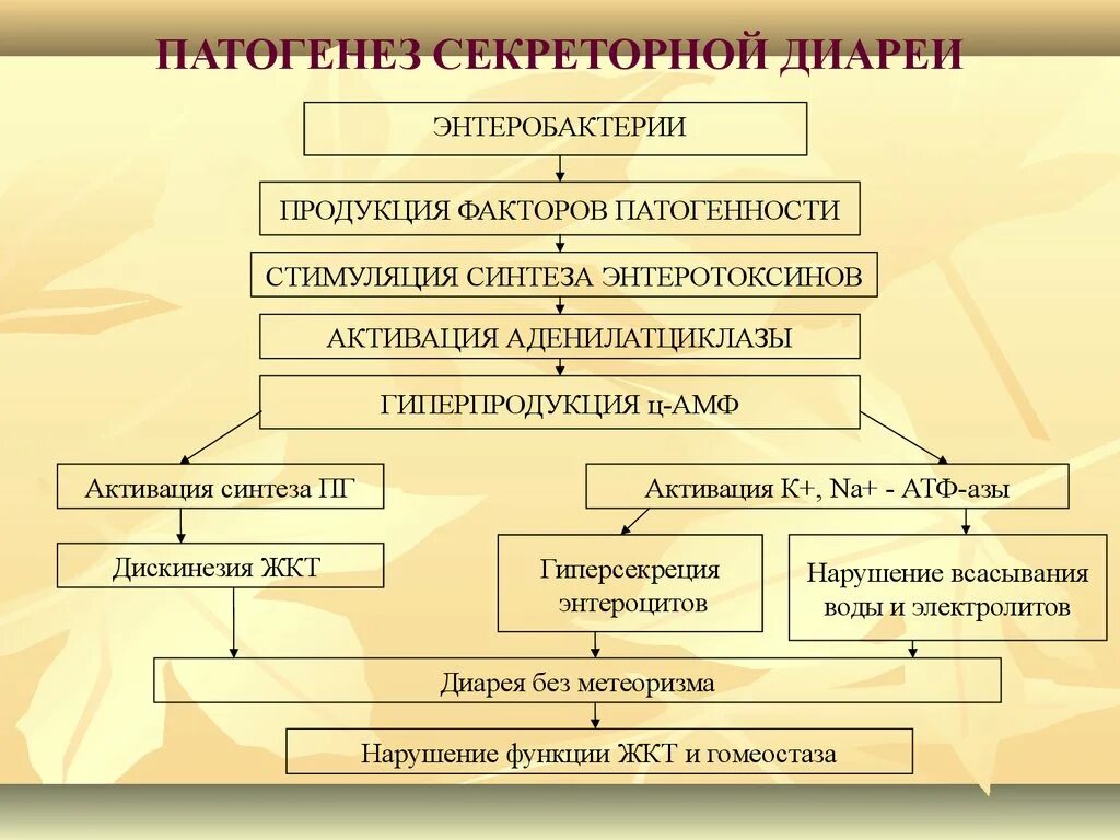 Осмотическая диарея патогенез. Инвазивная диарея патогенез. Патогенез гиперсекреторной диареи. Механизмы развития диареи. Патогенез диареи.