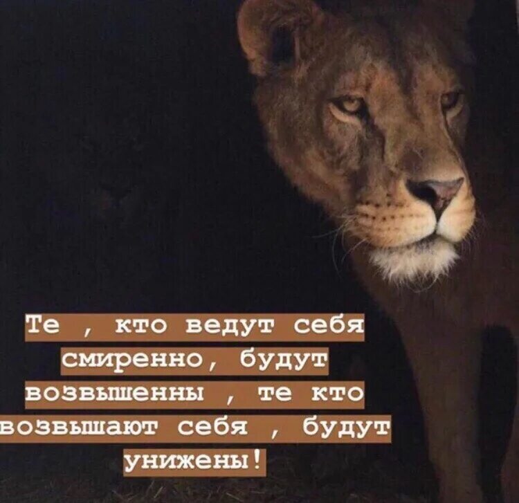 Унижал оскорблял бывшую
