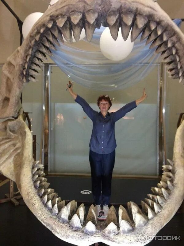 Музей рекордов и фактов титикака санкт-петербург. Титикака музей рекордов спб. Музей рекордов петербурге. Музей рекордов петербурге. Музей рекордов гиннесса в спб.