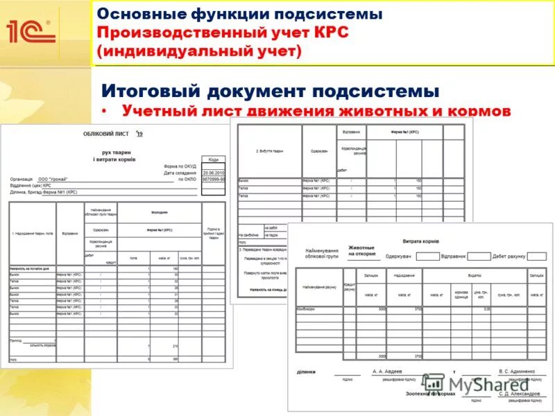Цели индивидуального персонифицированного учета. Функции приложения. Основные функции индивидуального учета. Порядок организации персонифицированного учета. Организация персонифицированного учета органами пф рф.
