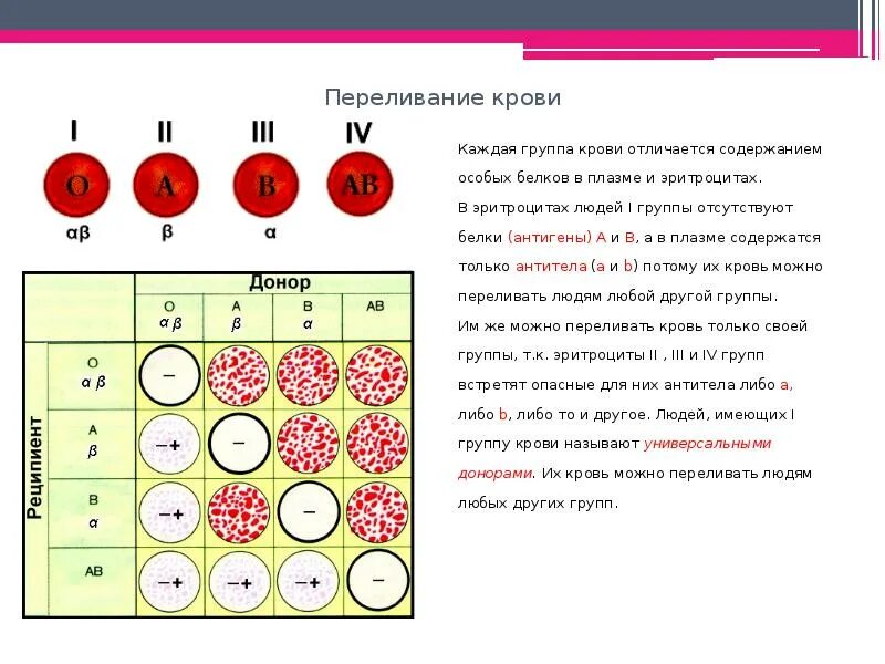 1 донор 2 реципиента. Таблица соотношения резус фактора и группы крови. Свертываемость крови группа крови биология 8 класс. Группы крови и резус-фактор таблица биология. Совмещение групп крови схема.