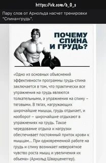 Программа арнольда шварценеггера на массу