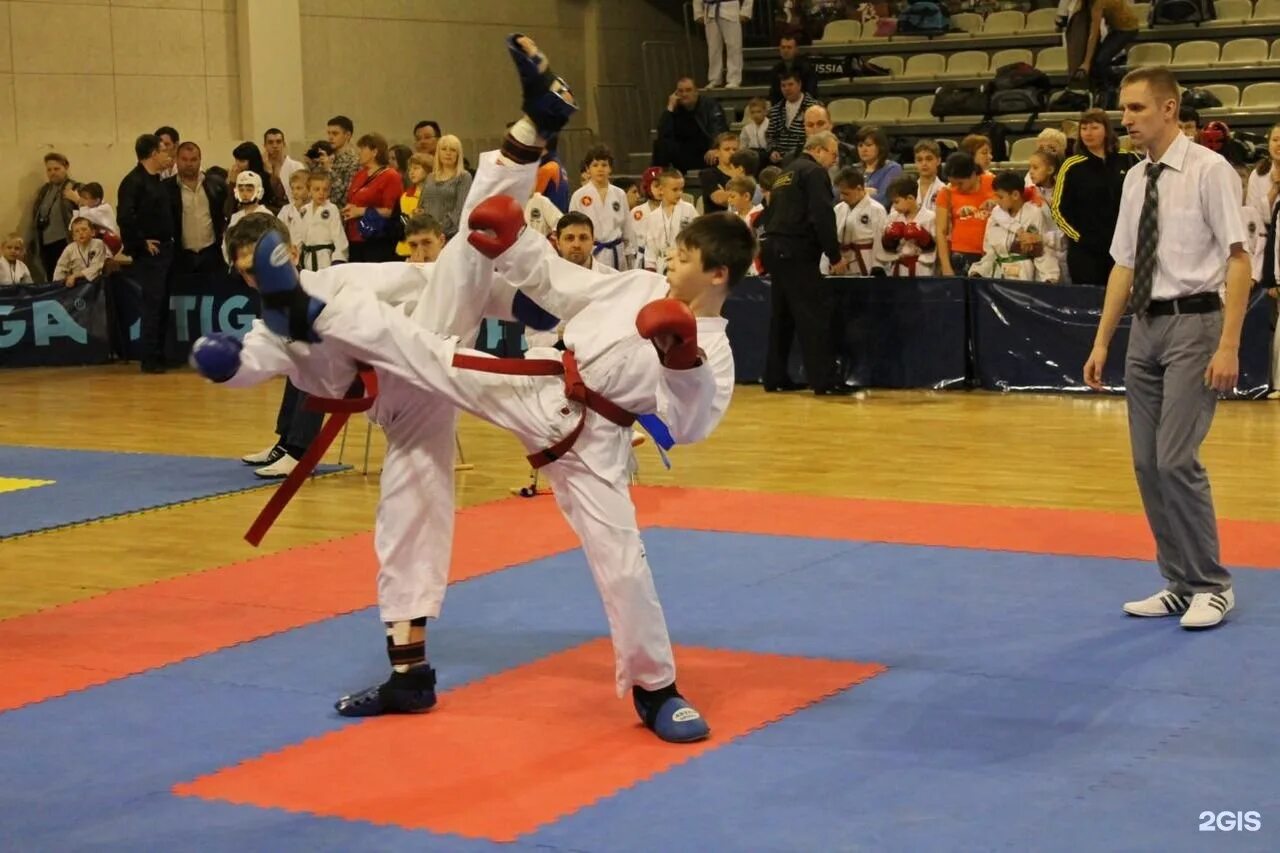Тхэквондо ГТФ Омск Федерация. Taekwondo GTF Омск. Российская Ассоциация тхэквондо ГТФ.