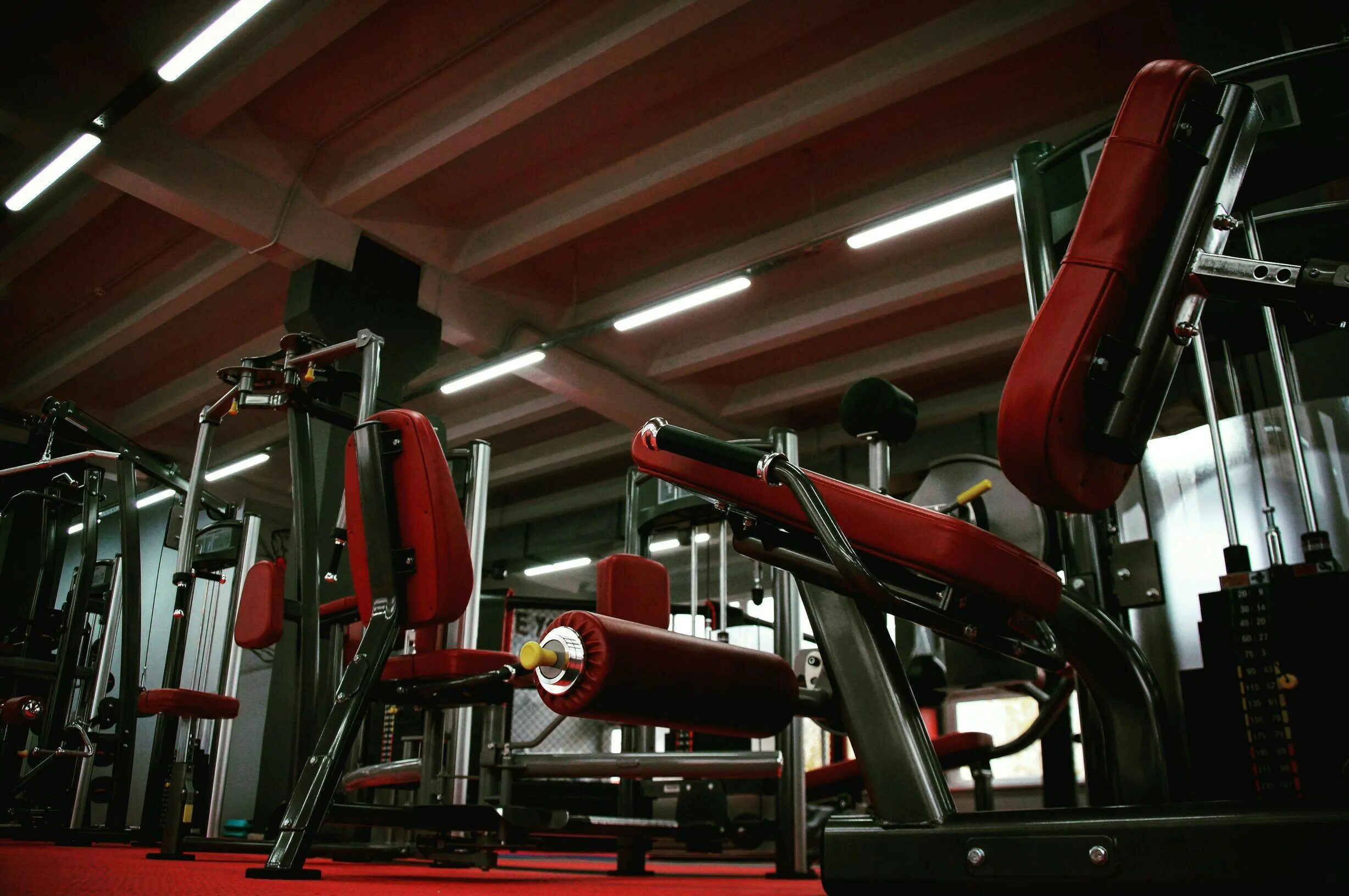 Powerzone на бабушкинской. Русеан фитнес. Fitness zone. Fitness zone. Финес клуб зона стародуб семашко.