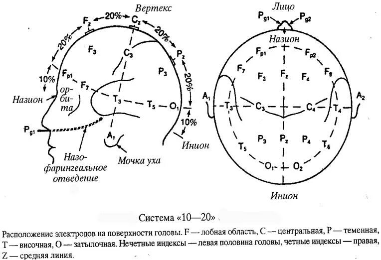 Система 10 20 это