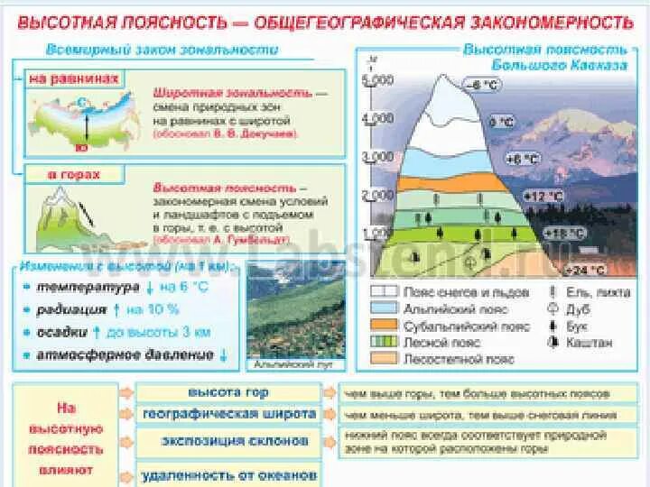 Уральские горы высотная поясность. Высотная поясность Алтая, Кавказа, Урала. Высотная поясность Кавказа. Высотная поясность горы Белуха. Климат ВЫСОТНОЙ поясности в России.