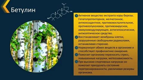 Бетулин применение