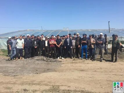 Погода дагестане ногайском районе