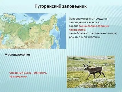 Запиши названия заповедников расположенных в зоне пустынь