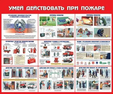 Умеют действовать