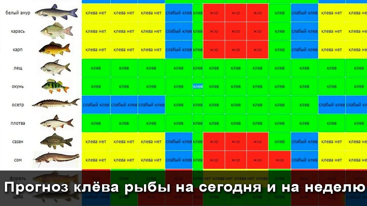 Прогноз клева ростовская: найдено 79 картинок
