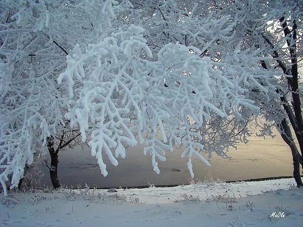 Мп3 снег летит и летит. Картинка снег пушистый кружится. фото белый снег пушистый в воздухе. зима некрасов белый снег пушистый. покрыты поляны пушистым снежком картинки.