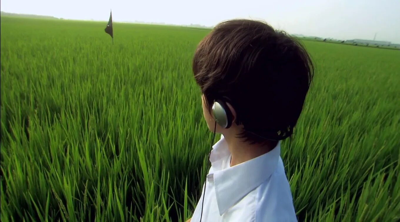 Shunji iwai. Lily chou. Chou hennes обложка. All about lily chou chou. Riri shushu no subete.