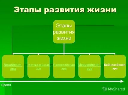 Установите последовательность развития жизни на земле