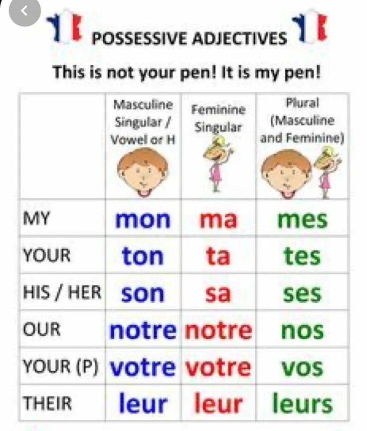 Possessive итальянский. Sophisticated adjectives. Character personality adjectives. A cup of french. French adjectives.