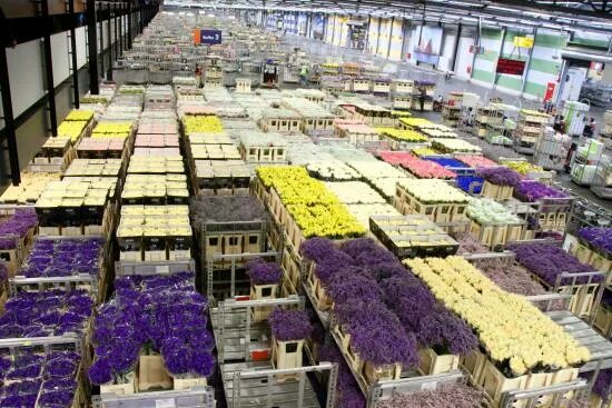 Торговая база кармента. Кор каталог товаров. Кор каталог товаров. Кировский оптовый рынок екатеринбург официальный сайт. Цветочный склад ессентуки никольская.