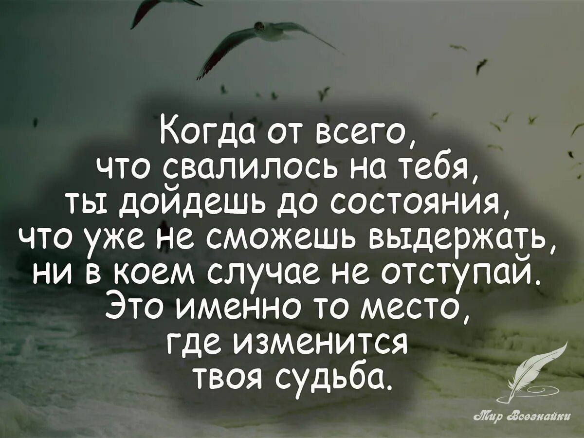 есть люди как люди есть люди как твари. статус про проблемы. цитаты про решение проблем. цитаты про проблемы. трудности жизни.