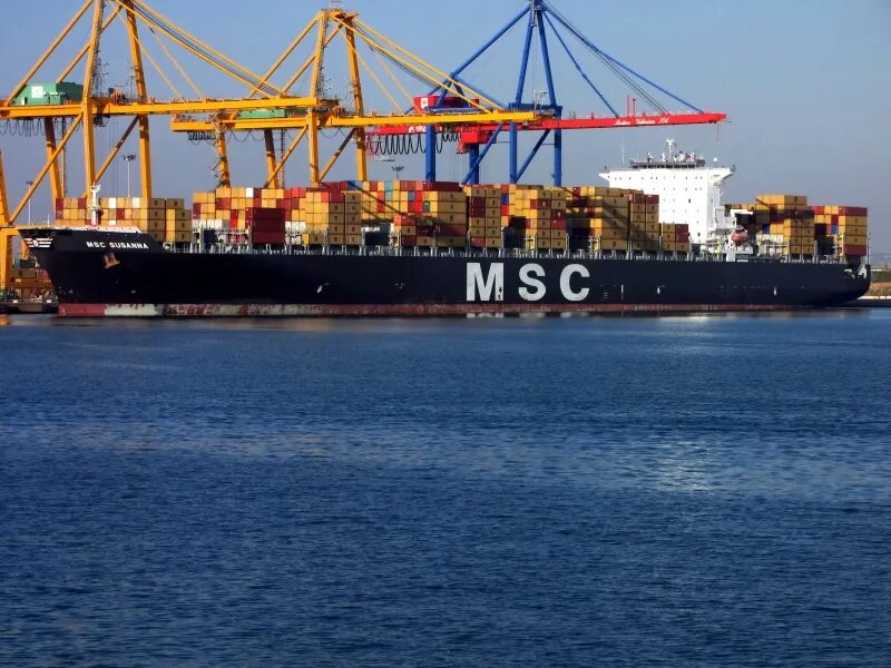 Msc местоположение. Msc lea. msc mandy. msc meline. msc новороссийск.