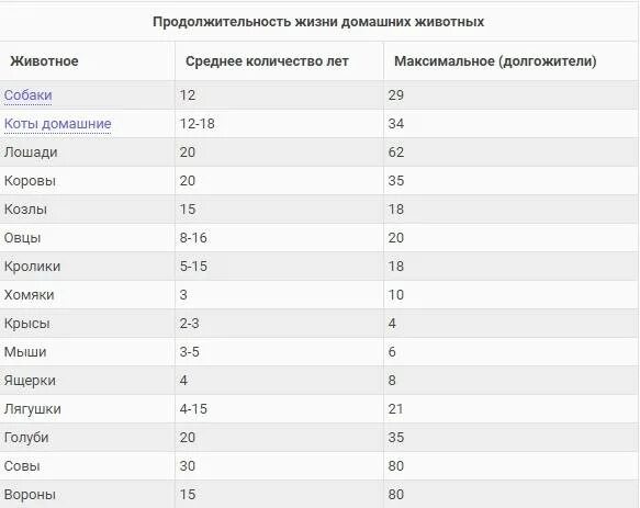 Сколько живет в харькове. Продолжительность жизни животных 1 класс таблица. Продолжительность жизни домашних животных таблица. Срок жизни животных таблица 1. Продолжительность жизни животных долгожителей таблица.