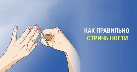 Когда стричь ногти в июне 2024 года