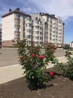 Новая усмань квартиры вторичное жилье