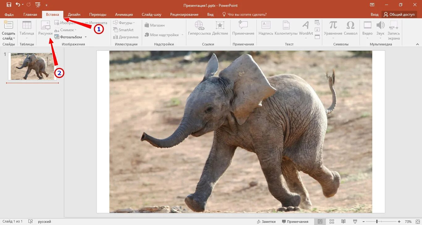 Как удалить белый. Отзеркалить картинку в powerpoint. как удалить картинку с презентации. вырезать картинку из фона. как удалить фон у рисунка в powerpoint.