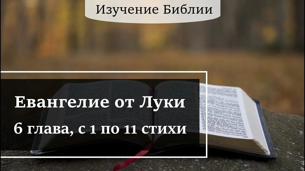 Евангелие от Луки глава 1. Евангелие от Луки глава 11. Евангелие от Луки глава 16. Евангелие от Луки 5 глава.