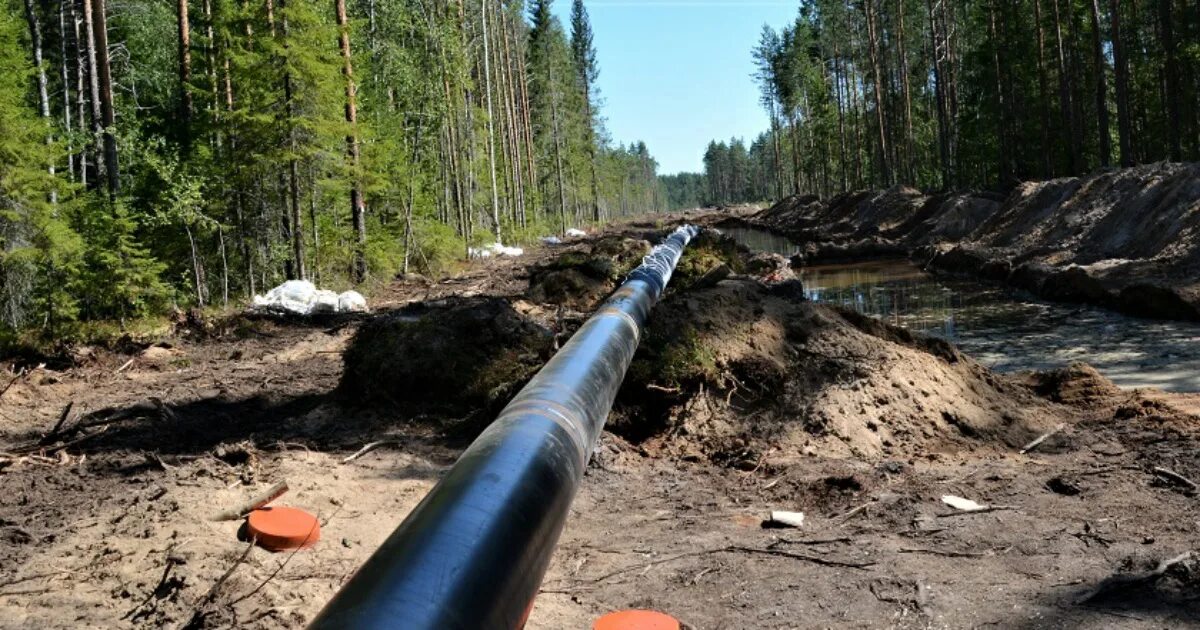 Газовая труба. Газопровод врангель приморский край. 12 км по газопроводу. Газопровод большой камень врангель. Строительство газопровода.