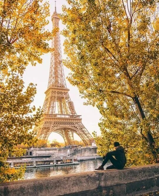 Paris Autumn Изображения: просматривайте стоковые фотографии, векторные изображе