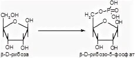 5 формул фосфата. 5 формул фосфата. Аденозин фосфат. Ribose 5 phosphate. Химическая формула фосфата.