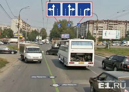 Амундсена бардина