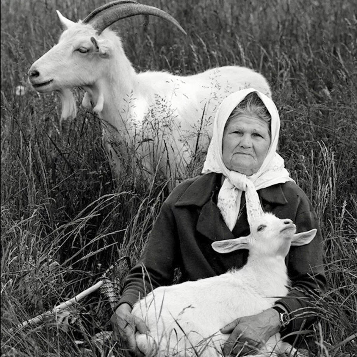 Козленком девушка. Фотосессия с козой. бабушка с козой. женщина с козленком. бабушка с козлятами.