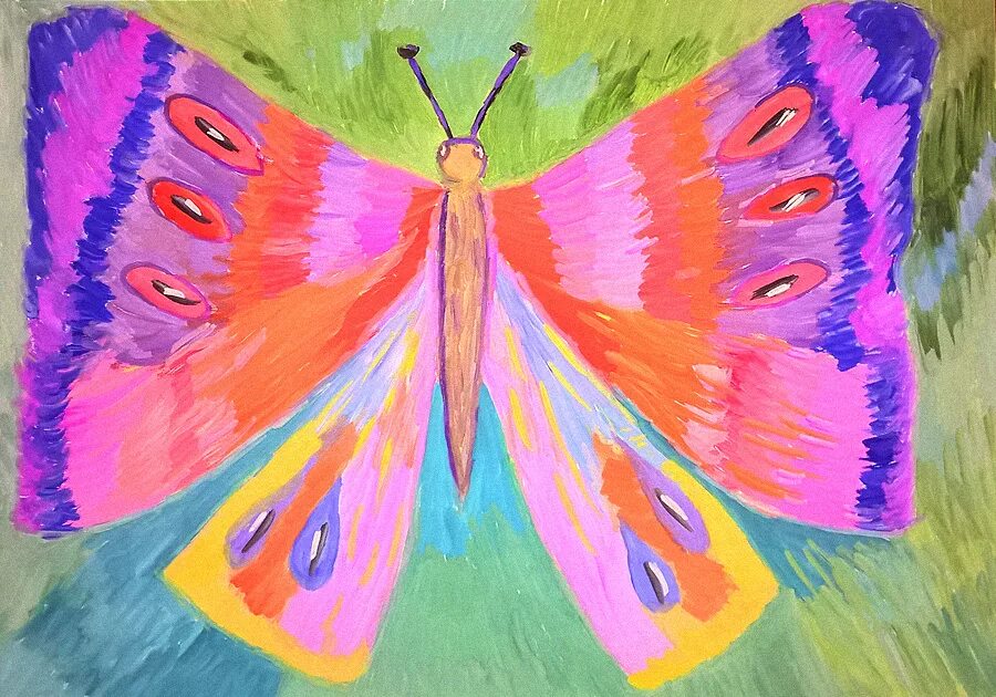 бабочка в теплых и холодных цветах. отряд чешуекрылые (lepidoptera). Lepidoptera - чешуекрылые. бабочка белянка зорька. адмирал бабочка черно красная.