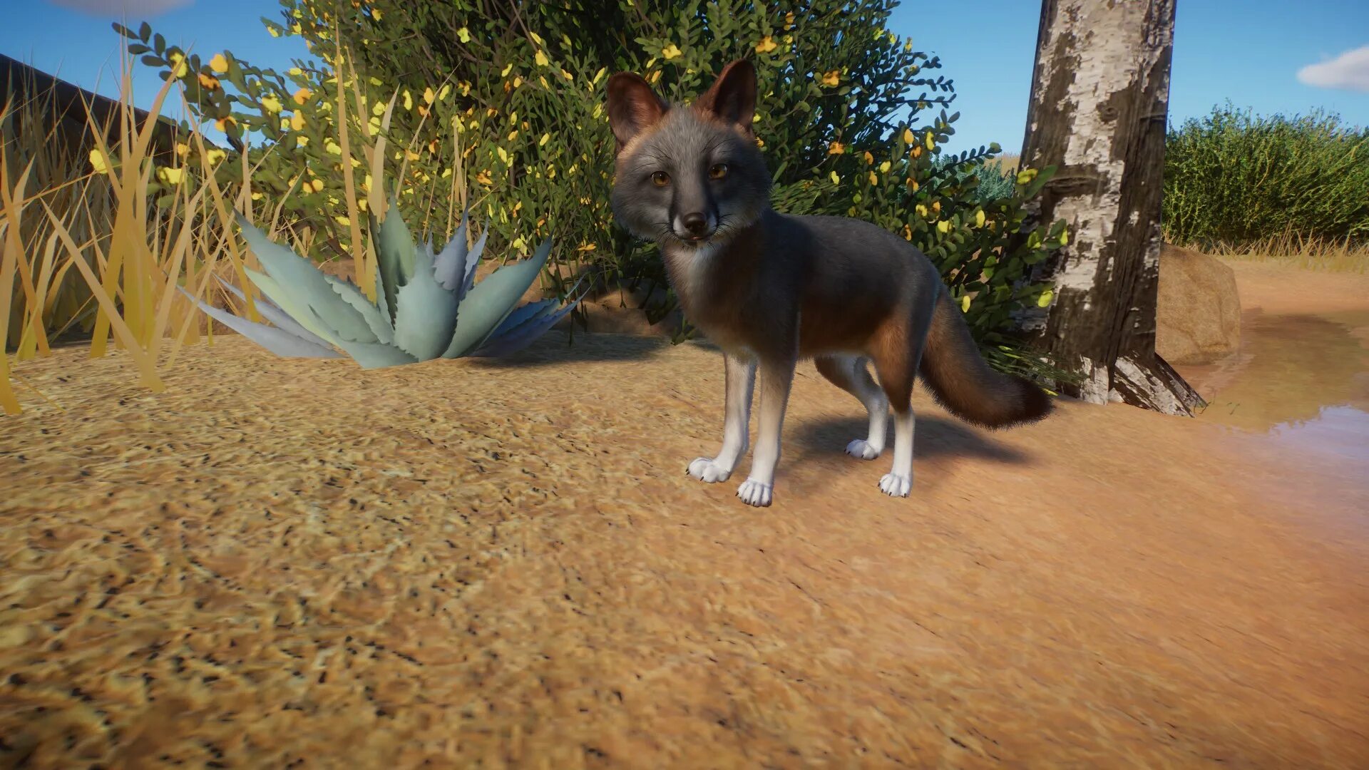 Fox fox фф. Planet Zoo животные. Planet Zoo Mods. Planet Zoo скины. Волк trupe4 в ЧИТЕРСКИЙ очках.