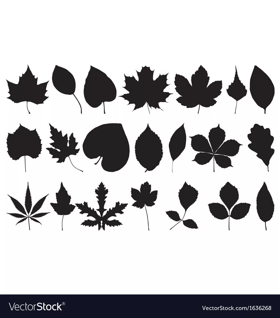 листья вектор. силуэт осенних листьев. листочки силуэт. силуэт дерева с листьями. векторный лист дерева.
