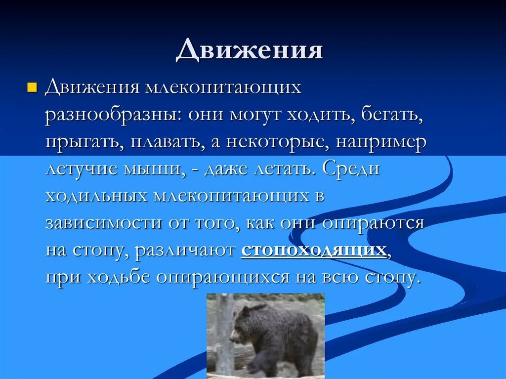 Активное передвижение характерно для. Сообщение о способах передвижения животных. Способы передвижения млекопитающих. Способ передвижения класса млекопитающие. Класс млекопитающие органы передвижения.