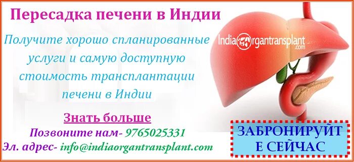 Трансплантация печени. Сколько стоит пересадка печени. Трансплантация печени в России. Пересадка печени в москве