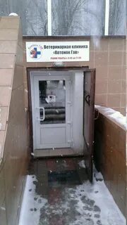 Ветклиника котенок гав