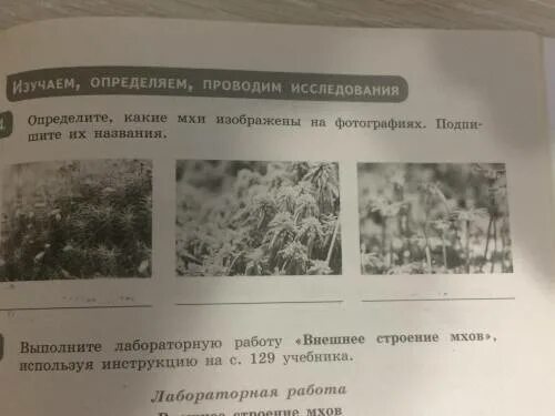 Определить что изображено на фотографии. Подпишите названия изображенных природных зон. Определить что изображено на фотографии. Определить что изображено на фотографии. Форма земной поверхности на снимке 4 класс.