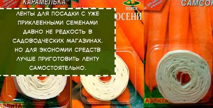 Как наклеить морковь на туалетную. Морковь на ленте. лента для высадки моркови. морковь ленточная посадка. посев моркови на туалетную бумагу.