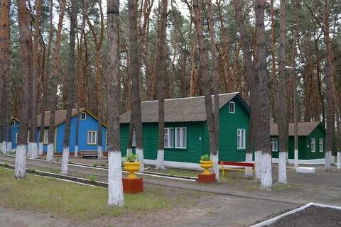 Лагерь орленок курск отзывы