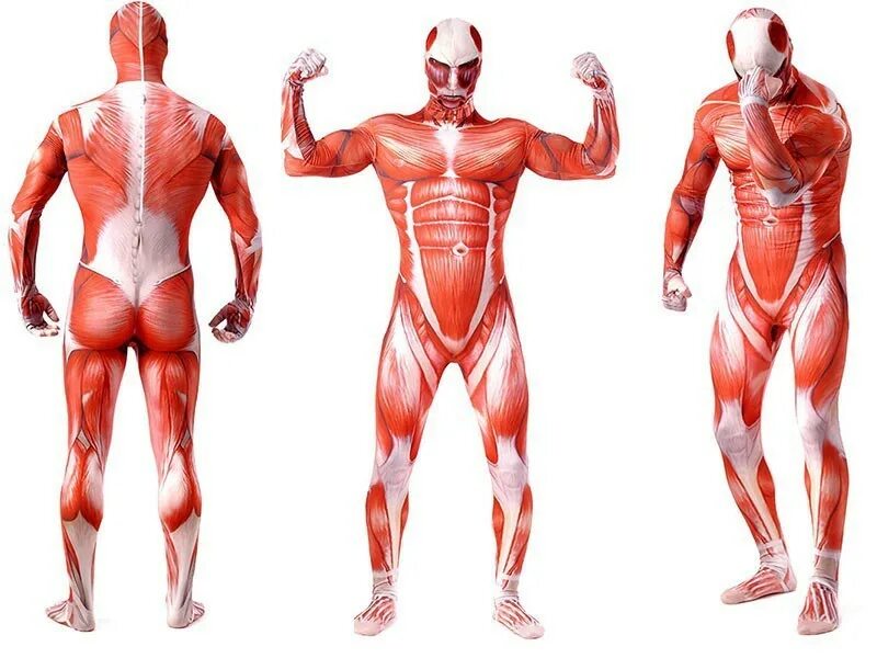 колоссальные формы. костюм мышцы. костюм колоссального титана. колоссальный титан в полный рост. армин титан колосс рост.