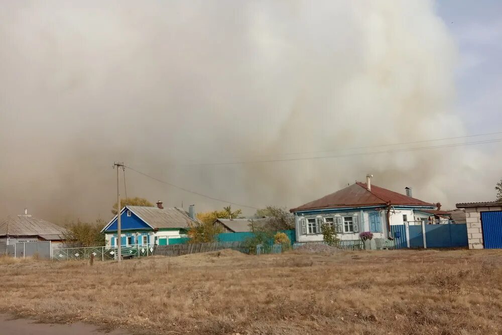 Село Николаевка Терновский район Воронежская область. Николаевка Донецкая область Славянский район. Деревня Николаевка Украина. Николаевка Анинский район. Селе николаевка воронежской области