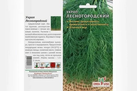 Укроп лучшие сорта для открытого