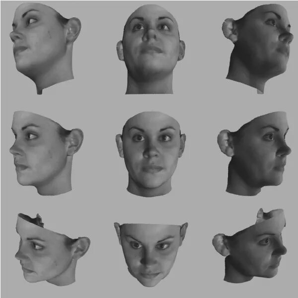 Example face. Faceing. example face of company calogies png.