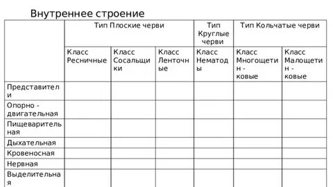 Опорно двигательная система круглых червей