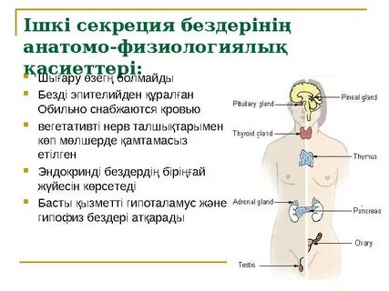 Ормандағы кеуделі нудистер (суреттерді қараңыз)