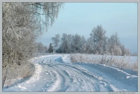 Белеет пороша