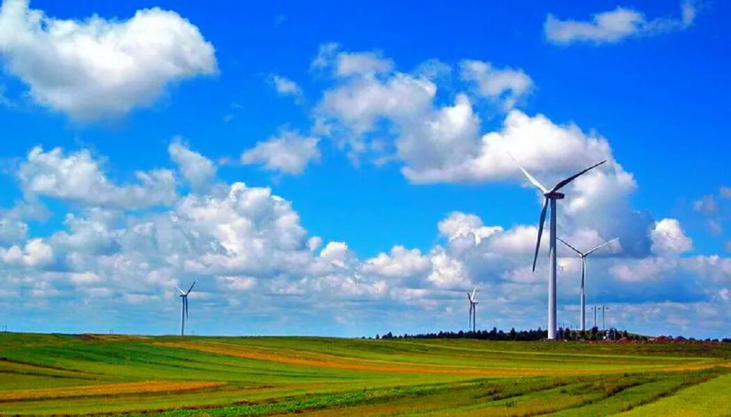 Das wind. Всемирный день ветра (global wind day). всемирный день ветра 15 июня. всемирный день ветра открытки. конкурсы на день ветра.