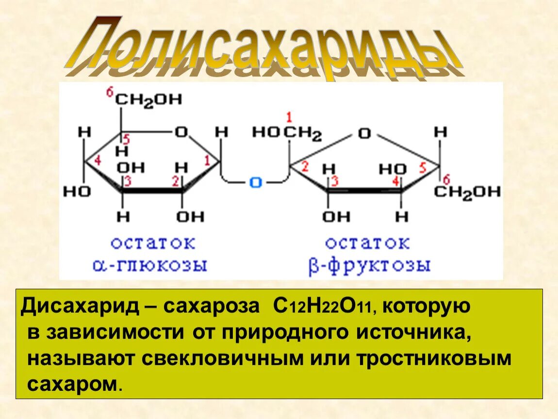 Сахароза. Ди Сахариддер сахароза. Сахароза полисахарид. Дисахариды мальтоза лактоза сахароза. Фруктоза в природе